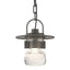 Hubbardton Forge 2014 Coastal Natural Iron Clear Glass (ZM) Mason Outdoor Ceiling Fixture