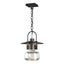 Hubbardton Forge 2016 Coastal Oil Rubbed Bronze Clear Glass (ZM) Mason Large Outdoor Ceiling Fixture