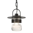Hubbardton Forge 2014 Coastal Black Clear Glass (ZM) Mason Outdoor Ceiling Fixture