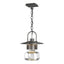 Hubbardton Forge 2016 Coastal Natural Iron Clear Glass (ZM) Mason Large Outdoor Ceiling Fixture