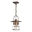 Hubbardton Forge 2016 Coastal Bronze Clear Glass (ZM) Mason Large Outdoor Ceiling Fixture
