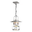 Hubbardton Forge 2016 Coastal Burnished Steel Clear Glass (ZM) Mason Large Outdoor Ceiling Fixture
