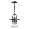 Hubbardton Forge 2016 Coastal Black Clear Glass (ZM) Mason Large Outdoor Ceiling Fixture