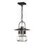 Hubbardton Forge 2016 Coastal Black Clear Glass (ZM) Mason Large Outdoor Ceiling Fixture