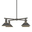 Hubbardton Forge 2021 Coastal Natural Iron Multi Henry Outdoor 4-Light Pendant
