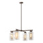 Hubbardton Forge 2021 Coastal Bronze Coastal Silver Clear Glass (ZM) Multi Polaris Outdoor 4-Light Pendant