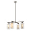 Hubbardton Forge 2021 Coastal Dark Smoke Coastal Silver Clear Glass (ZM) Multi Polaris Outdoor 4-Light Pendant