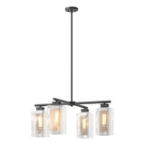 Hubbardton Forge 2021 Coastal Black Coastal Silver Clear Glass (ZM) Multi Polaris Outdoor 4-Light Pendant