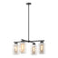 Hubbardton Forge 2021 Coastal Black Coastal Silver Clear Glass (ZM) Multi Polaris Outdoor 4-Light Pendant