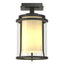 Hubbardton Forge 2010 Coastal Natural Iron Seeded Glass with Opal Diffuser (ZS) Meridian Outdoor Semi-Flush