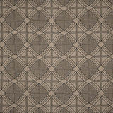 Maxwell PIRANESI #206 IRON Fabric