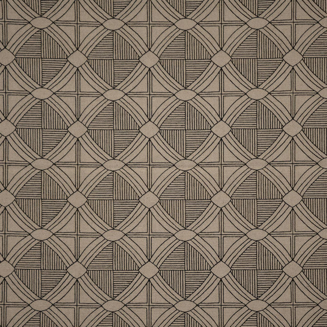 Maxwell PIRANESI #206 IRON Fabric