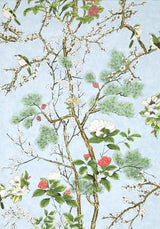 Thibaut Katsura Spa Blue Wallpaper