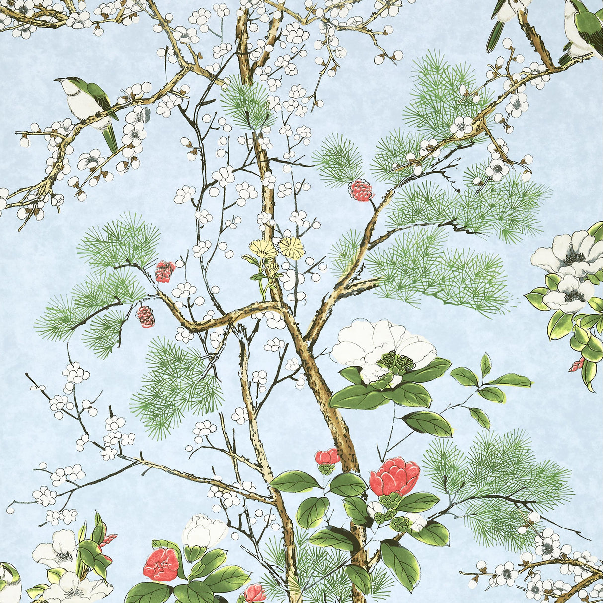 Thibaut Katsura Spa Blue Wallpaper
