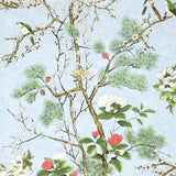 Thibaut Katsura Spa Blue Wallpaper
