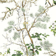 Thibaut Katsura Green And White Wallpaper