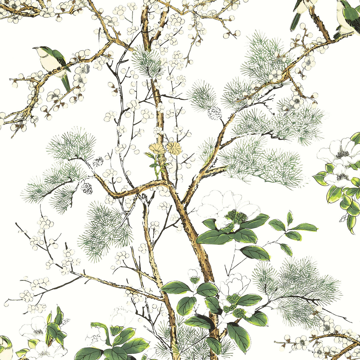 Thibaut Katsura Green And White Wallpaper