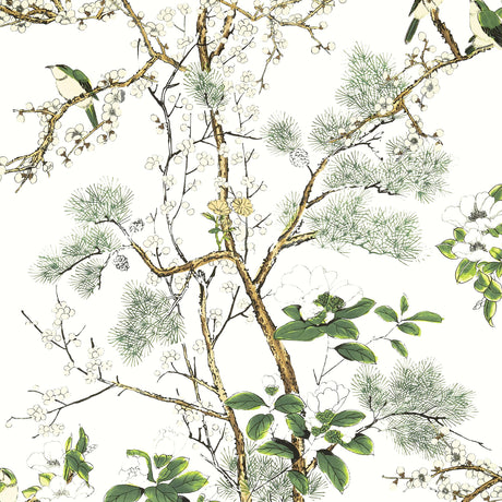 Thibaut Katsura Green And White Wallpaper