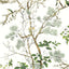 Thibaut Katsura Green And White Wallpaper