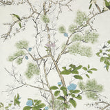 Thibaut Katsura Cream And Lavender Wallpaper