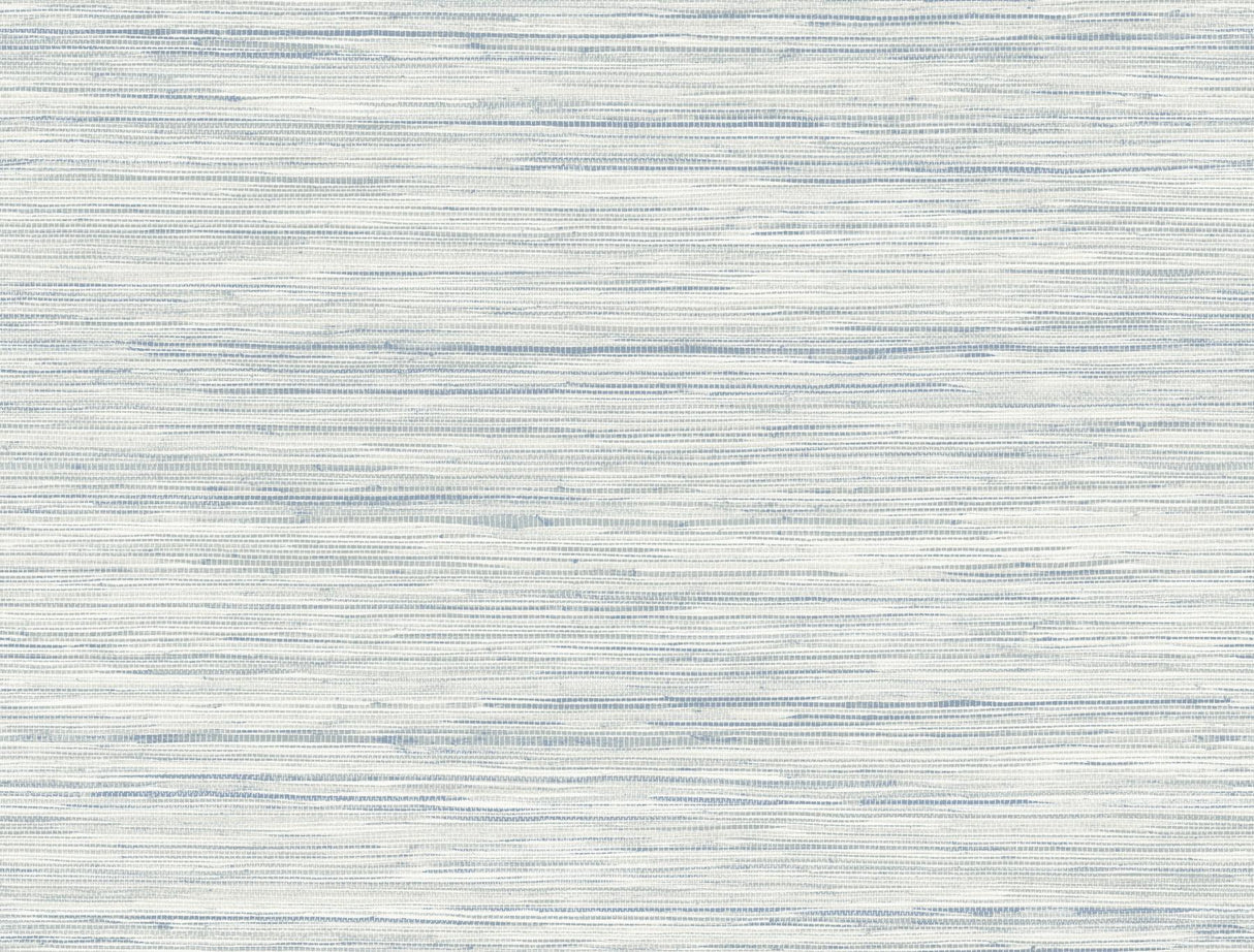 York Blue Bahiagrass Wallpaper