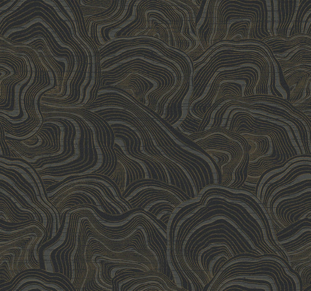 Ronald Redding Designs Geodes Black Wallpaper