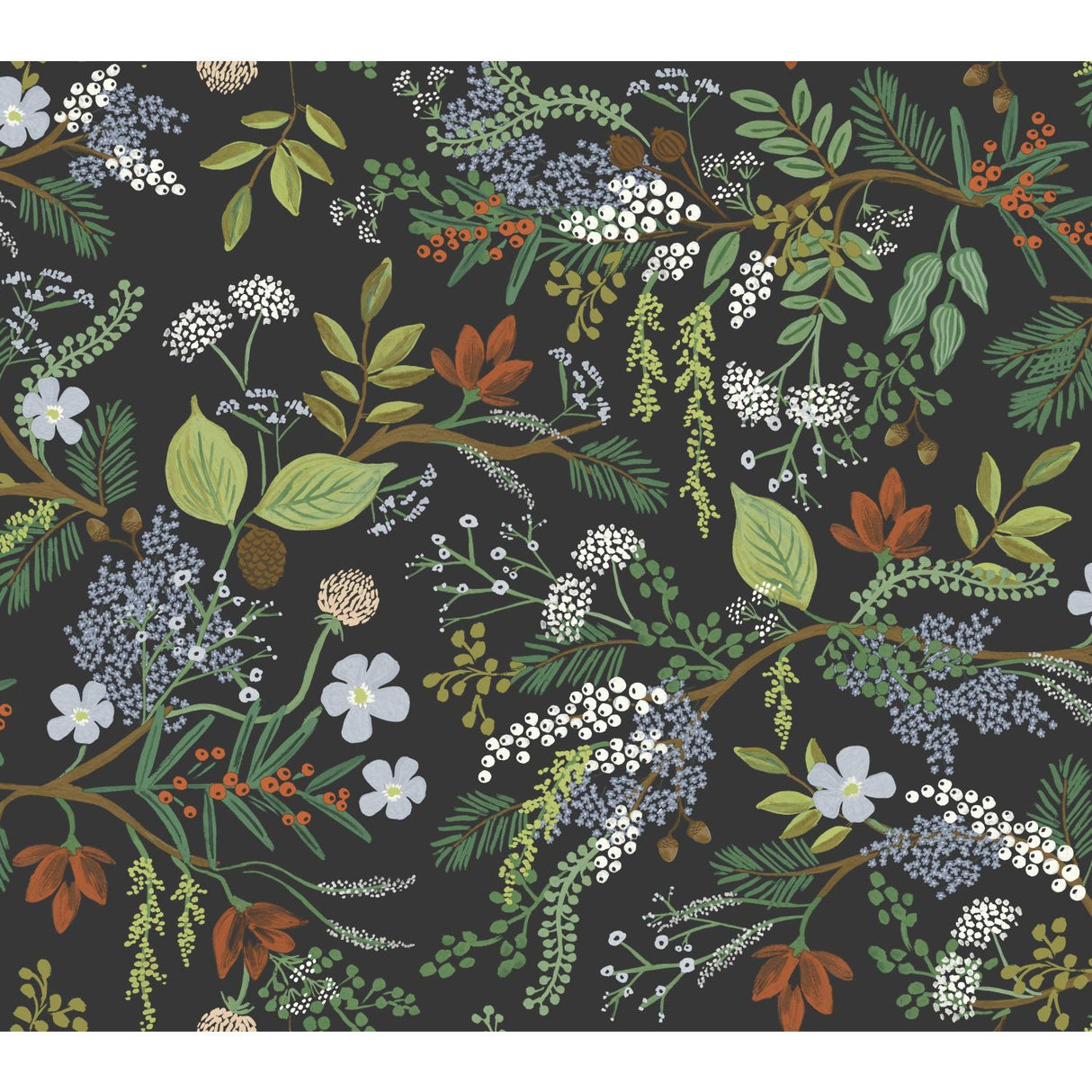 Rifle Paper Co. Juniper Forest Black Wallpaper
