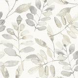 Brewster Home Fashions Chesapeake Thoreau Leaves Taupe Wallpaper