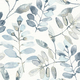 Brewster Home Fashions Chesapeake Thoreau Leaves Blue Wallpaper