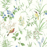Brewster Home Fashions Chesapeake Wildflower Imperial Garden Botanical Green Wallpaper