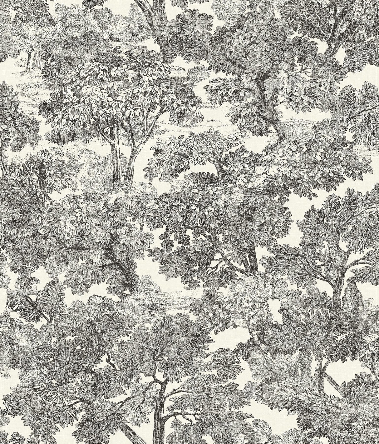 Brewster Home Fashions Chesapeake Wildflower Spinney Toile Black Wallpaper