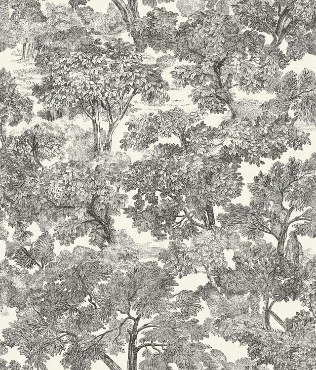 Brewster Home Fashions Chesapeake Wildflower Spinney Toile Black Wallpaper
