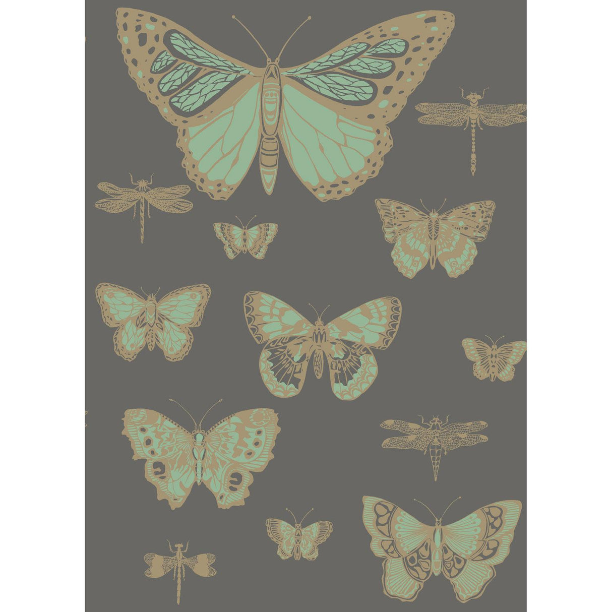 Cole & Son BUTTERFLIES & DRAGONFLIES GREEN ON CHAR Wallpaper