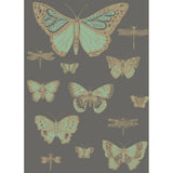 Cole & Son BUTTERFLIES & DRAGONFLIES GREEN ON CHAR Wallpaper
