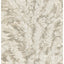 Cole & Son FLORENCECOURT STONE Wallpaper