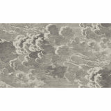Cole & Son NUVOLETTE GILVER & CHARCOAL Wallpaper