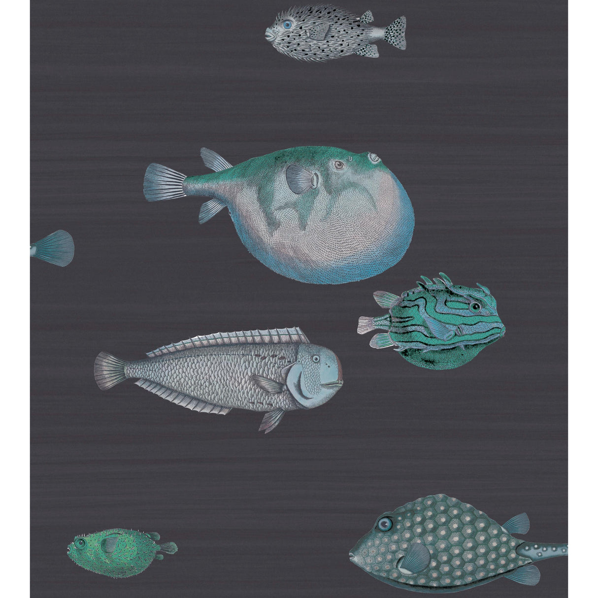 Cole & Son ACQUARIO INK Wallpaper