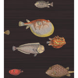 Cole & Son ACQUARIO BLACK & MULTI Wallpaper