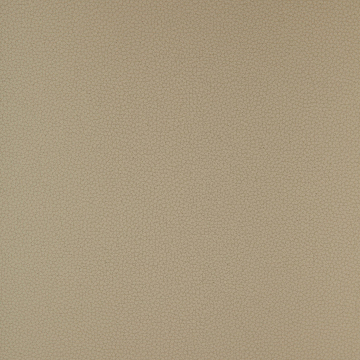 Kravet DESIGN BIND 11 Upholstery Fabric