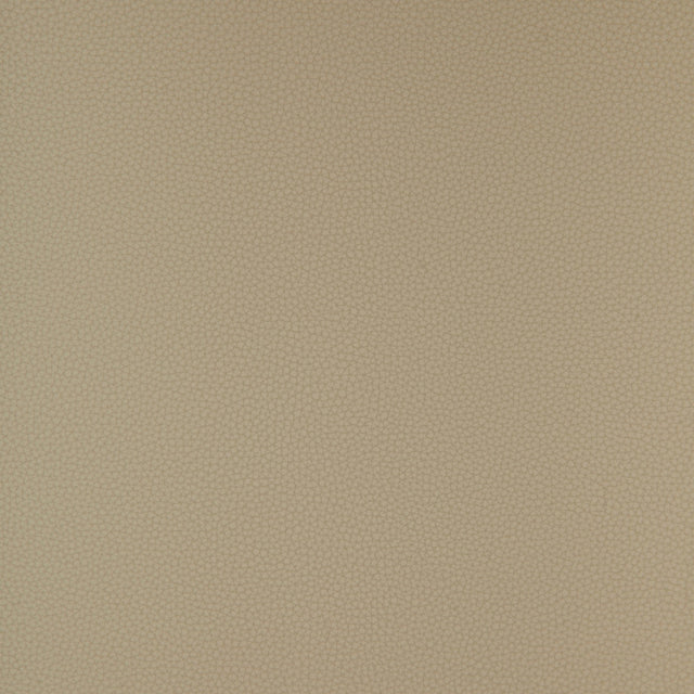 Kravet DESIGN BIND 11 Upholstery Fabric