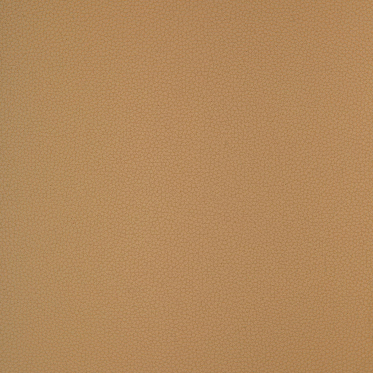 Kravet DESIGN BIND 116 Upholstery Fabric
