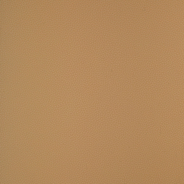 Kravet DESIGN BIND 116 Upholstery Fabric