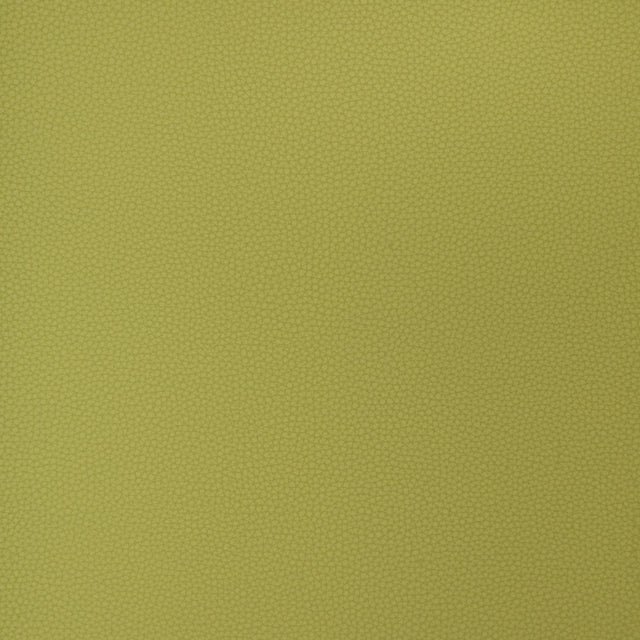 Kravet DESIGN BIND 23 Upholstery Fabric