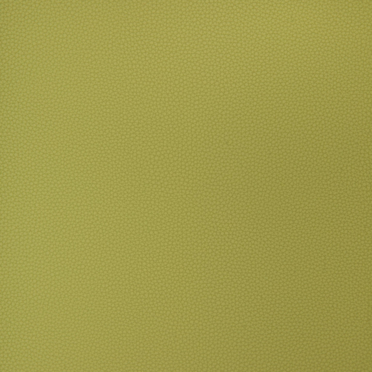 Kravet DESIGN BIND 23 Upholstery Fabric