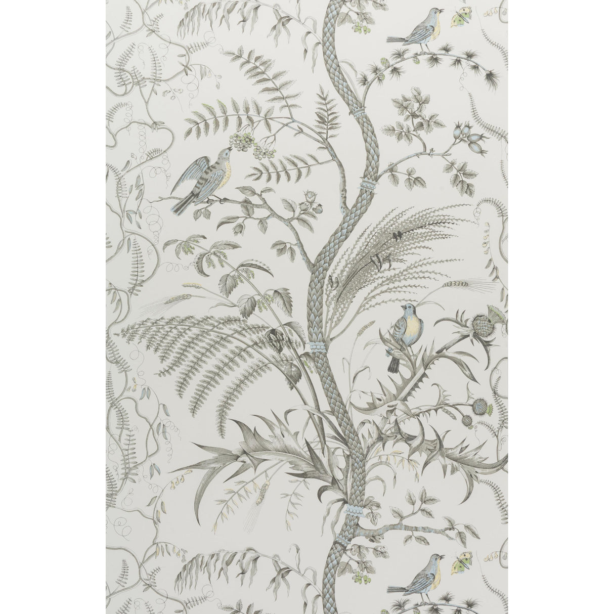 Brunschwig & Fils BIRD AND THISTLE GRAY Wallpaper