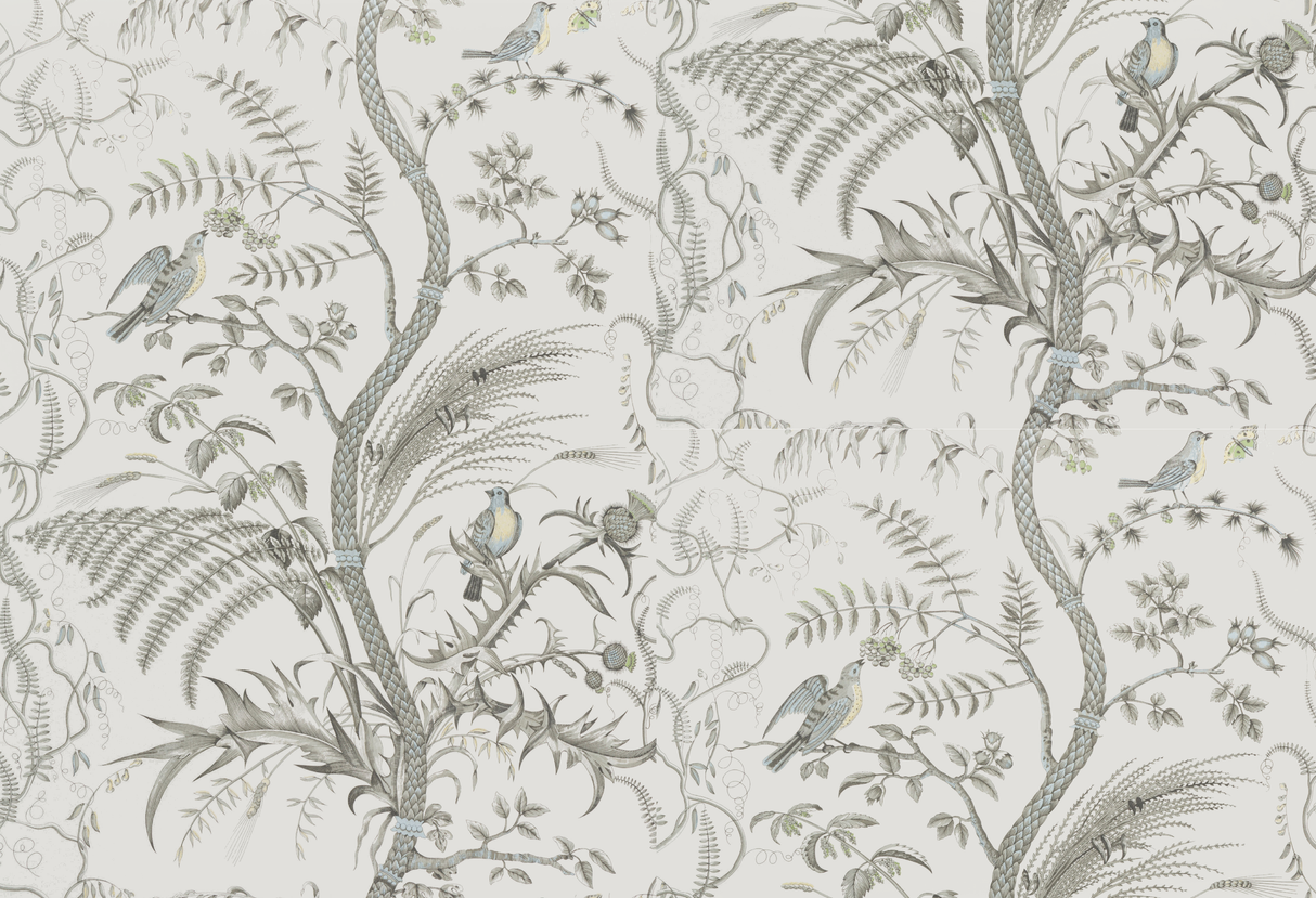 Brunschwig & Fils BIRD AND THISTLE GRAY Wallpaper