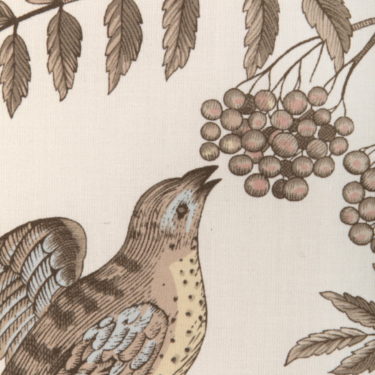 Brunschwig & Fils BIRD AND THISTLE COTTON PRINT BEIGE Fabric