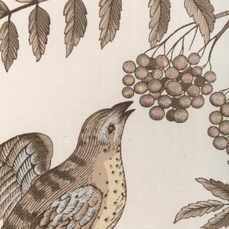 Brunschwig & Fils BIRD AND THISTLE COTTON PRINT BEIGE Fabric