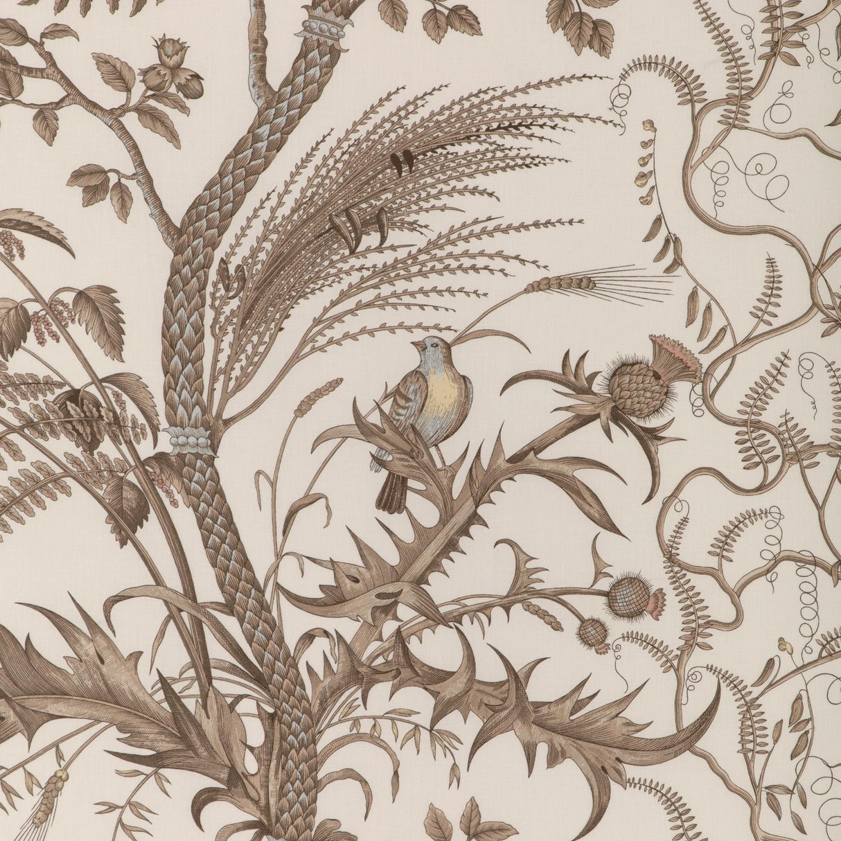 Brunschwig & Fils BIRD AND THISTLE COTTON PRINT BEIGE Fabric