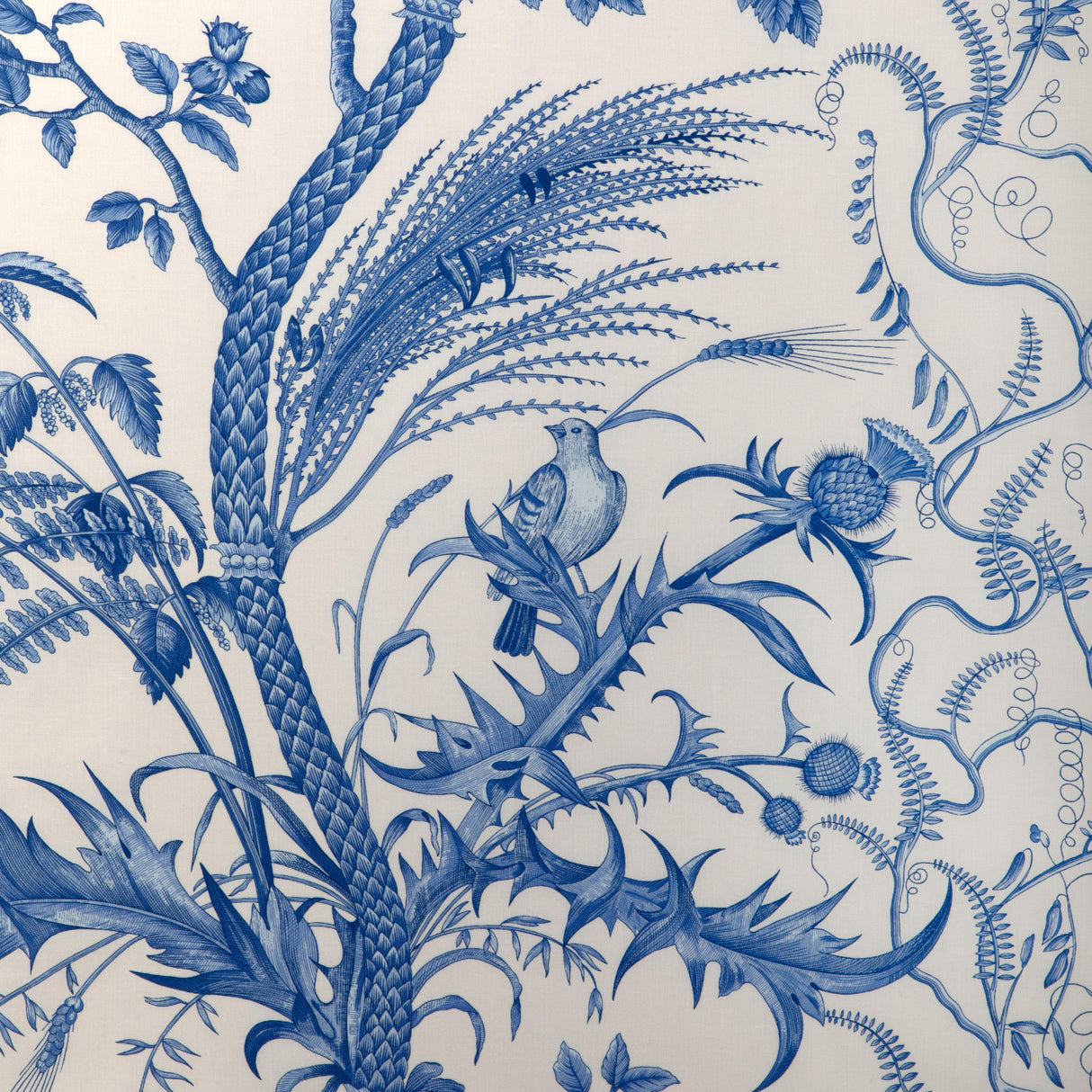 Brunschwig & Fils BIRD AND THISTLE COTTON PRINT BLUE Fabric